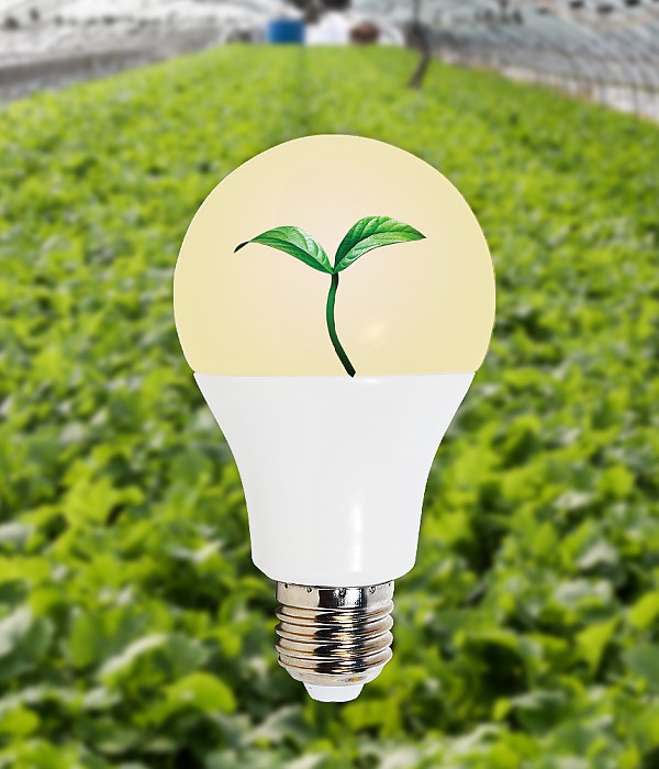 식물 전구, 식물 성장 램프(LED 12W)